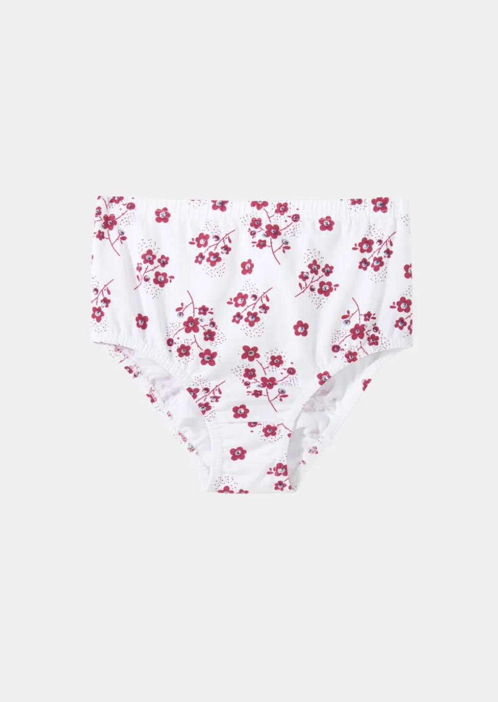 Lot de slips taille haute en coton
